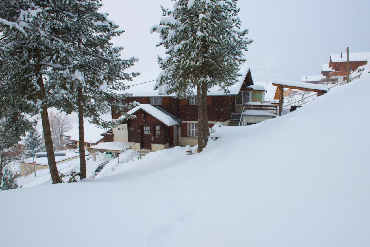 Studio Avec Sauna - 300M Des Pistes Leysin Bagian luar foto