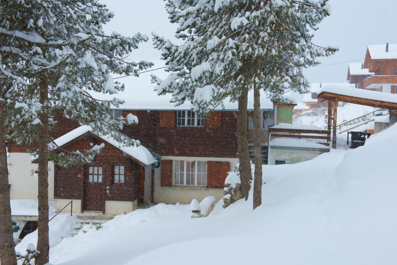 Studio Avec Sauna - 300M Des Pistes Leysin Bagian luar foto